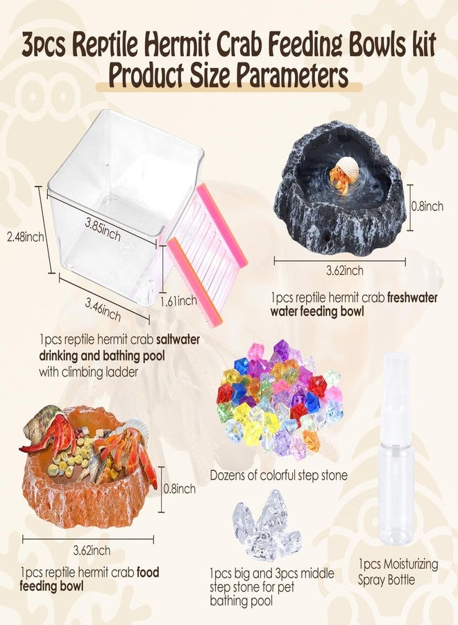 NestBasics 6 Pack Hermit Crab Accessories Hermit Crab Bathing Pool with Ramp Reptile Hermit Crab Water Food Bowls Dish Starter Kits for Hermit Crab Leopard Gecko Frog Spider Lizard Turtle Bearded Dragon etc - Image 2